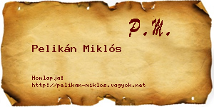 Pelikán Miklós névjegykártya